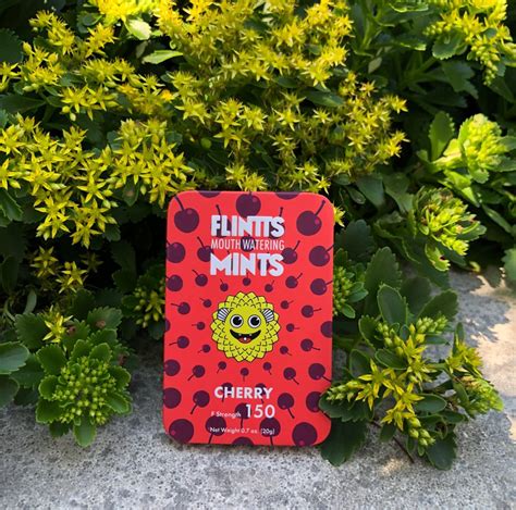 what are flint mints for|We Asked 10 People to Try Flintts Mouthwatering Mints